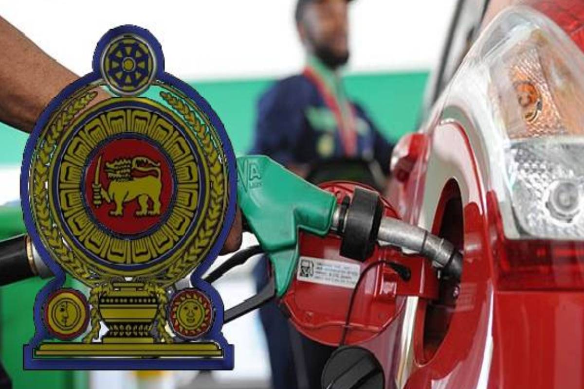 எரிபொருள் கையிருப்பு தொடர்பில் வெளியான தகவல்! பொதுமக்களுக்கு முக்கிய அறிவுறுத்தல் | Srilanka Fuel Crisis Storage