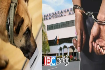 மோப்பநாயின் உதவியுடன் கட்டுநாயக்காவில் கைதான இந்திய புகைப்பட கலைஞர்