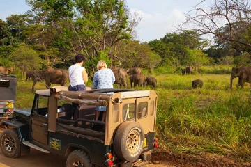ஃபோர்ப்ஸ் சஞ்சிகையின் தரப்படுத்தலில் இடம்பிடித்த இலங்கை!