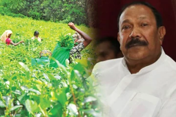 பெருந்தோட்ட தொழிலாளர்கள் விடயத்தில் அரசாங்கத்தின் நாடகம் - ராதாகிருஷ்ணன் கண்டனம்