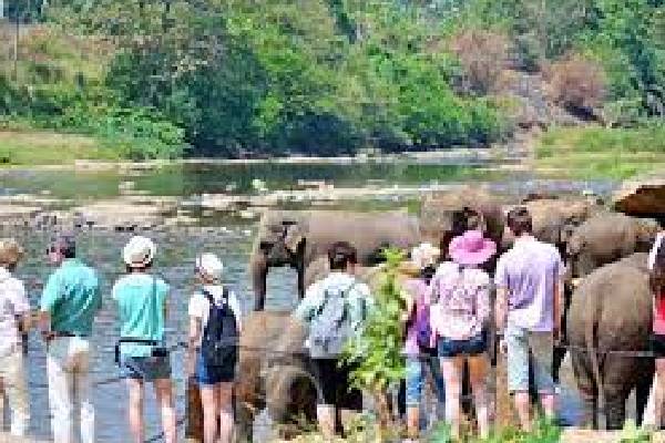 சுற்றுலாப்பயண வழிகாட்டி போதைப்பொருளுடன் கைது | Tourist Guide Arrested With Drugs