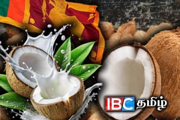 தேங்காய் இறக்குமதி - அமெரிக்காவின் வரி விதிப்பு : வாழ்வாதாரத்தை இழக்கும் இலங்கையர்கள்