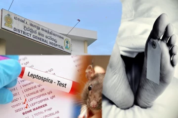 வவுனியாவில் எலிக் காய்ச்சலால் இளைஞர் மரணம்!