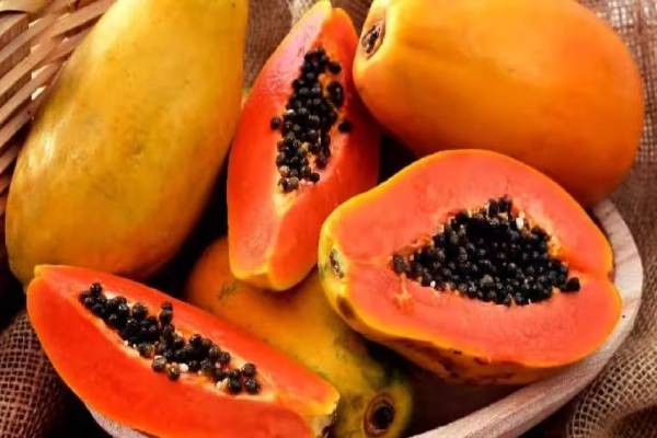 தைராய்டு பிரச்சனை இருந்தால் பப்பாளி சாப்பிடலாமா? | Can Eat Papaya If I Have Thyroid Problems