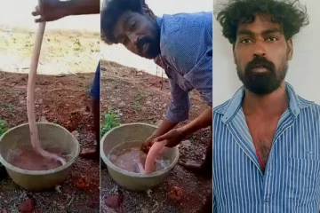சாரைப்பாம்பு சமையல் - வீடியோவால் சிறை சென்ற இளைஞர்