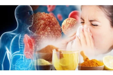 நுரையீரலில் இருக்கும் சளியை உடனே நீக்க.. இதோ மருத்துவ வழிமுறைகள்!