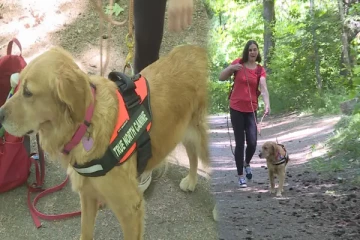 காணாமல்போன பெண்ணை மோப்ப நாய் உதவியுடன் கண்டுபிடித்த பார்வையற்ற பெண்