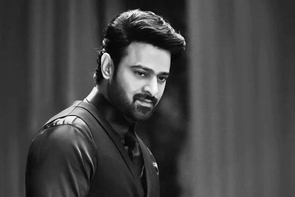 பிரபாஸ் ஹிந்தி நடிகையுடன் காதல்.. உண்மையை போட்டுடைத்த நடிகர் | Varun Dhawan On Kriti Sanon And Prabhas Love