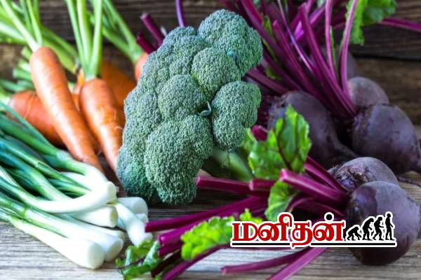 இதெல்லாம் சாப்பிடுங்க.. கல்லீரல் நோய் வரவே வராது! | These Vegetables Help Liver Health