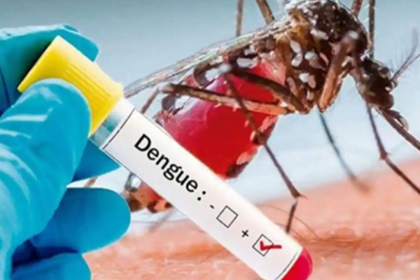 பேரிடரை தொடர்ந்து வரும் மற்றுமொரு அபாயம்.. எடுக்கப்பட்டுள்ள தீவிர நடவடிக்கைகள் | Risk Of Dengue Transmission Dengue Control Plan பேரிடரை தொடர்ந்து வரும் மற்றுமொரு அபாயம்.. எடுக்கப்பட்டுள்ள தீவிர நடவடிக்கைகள் | Risk Of Dengue Transmission Dengue Control Plan