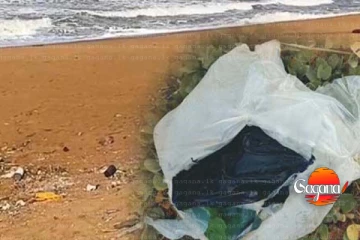 කටුකුරුන්ද වෙරළ තීරයේ සැකසහිත පාර්සලයක් - මෙන්න විස්තරය