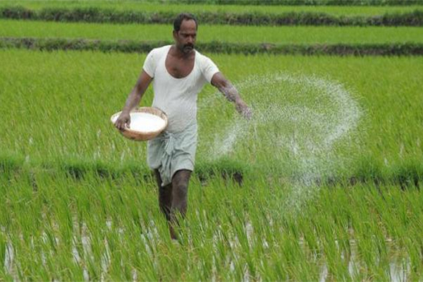 விவசாயிகளுக்கு மகிழ்ச்சி தகவல் - நாளை முதல் குறைவடைகிறது யூரியாவின் விலை..! | Urea Fertilizer For Less Than 9000 Rupees