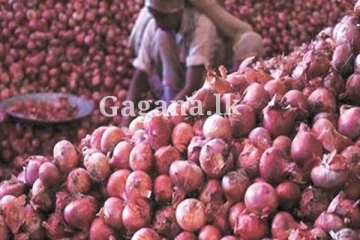 මොකක්ද මේ එකපාරටම ලොකු ළූනු ගැන ගත්ත තීරණය?. මේ දැන් ලැබුණ ආරංචියක් මෙන්න.