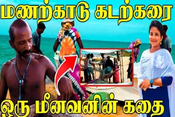 யாழில் சுனாமி தாக்கத்துக்குள்ளான மணற்காடு கடற்கரை... தற்போதைய நிலை என்ன?