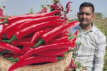 மிளகாய் தூள் விற்று கோடிக்கணக்கில் சம்பாதிக்கும் விவசாயி.., வெளிநாடு வரை சென்ற வியாபாரம்