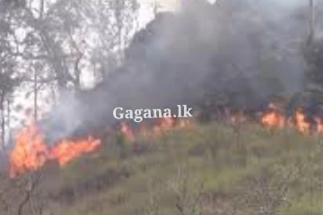 රක්ෂිතයක ගින්නක් ඇවිලී යයි - අක්කර 10කට වඩා විනාශ වෙලා.