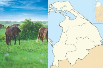 மனித நடமாட்டத்திற்காக வனவிலங்கு சரணாலயத்தை பகிர்ந்தளிக்க தீர்மானம்