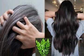 நரைமுடியை கருப்பாக மாற்றும் இயற்கை ஹேர் டை.., இந்த ஒரு இலை போதும் ஈசியா தயாரிக்கலாம்