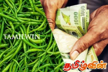 உச்சம் தொட்ட பச்சை மிளகாய் விலை!