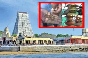 15 ஆண்டுகளுக்கு பிறகும்.. திருச்செந்தூர் கோயில் கலசத்தில் அப்படியே இருக்கும் தானியம்