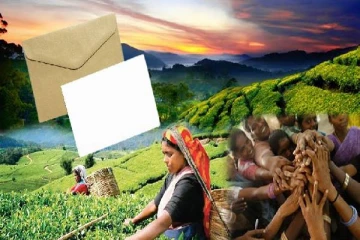 பெருந்தோட்ட மக்களுக்கு முகவரி! உயர்நீதிமன்றம் அறிவிப்பு