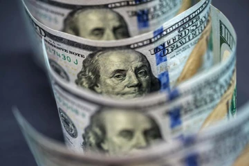 டொலருக்கு விற்பனை செய்யப்பட்ட வீடுகள் மூலம் கிடைத்த வருமானம்