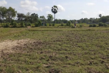 கனடாவில் வாழும் யாழ்ப்பாண பெண்ணின் நெகிழ்ச்சியான செயல்!