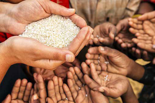மோசமான நிலையை அடையக் கூடும் - இலங்கை தொடர்பில் கடுமையான எச்சரிக்கை! | Sri Lanka Economic Crisis Food Crisis Wfp Dollar