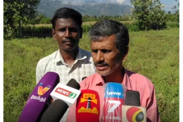 தக்காளிக்கு உரிய ஆதார விலை கிடைக்கவில்லை - பழனி விவசாயிகள் கவலை