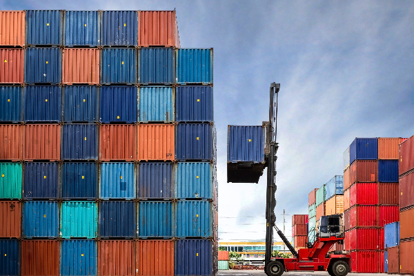 323 கொள்கலன்கள் குறித்து விசாரிக்க நாடாளுமன்றத் தெரிவுக்குழு | Parliamentary Committee Investigate 323 Containers