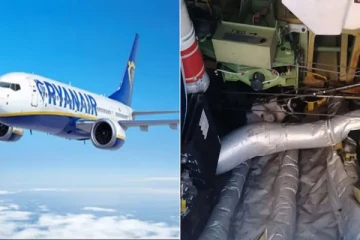 ஜேர்மனி நோக்கி புறப்பட்ட விமானத்தைக் கடத்திய பூனை: ஒரு சுவாரஸ்ய சம்பவம்