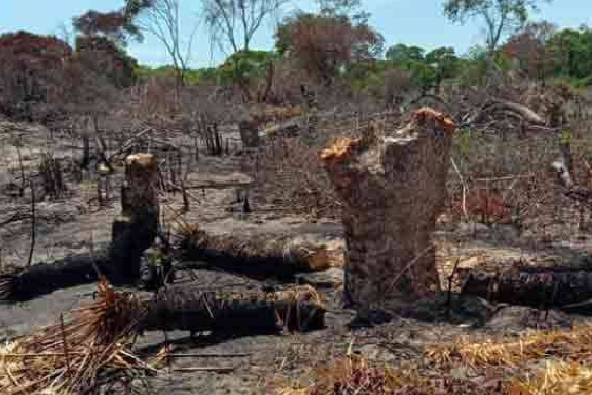 தமிழ் மக்கள் மனம் தளராத விக்கிரமாதித்தன்கள் இவர்களே..! சி. அ. யோதிலிங்கம் | C A Yodhilingam Article