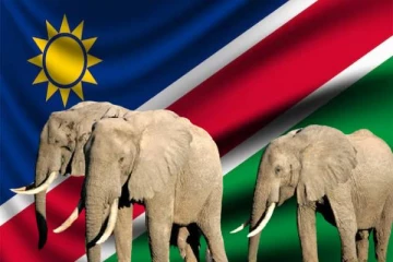 தென் ஆபிரிக்க நாடுகளில் ஒன்றான நமீபியாவில் காட்டு விலங்குகளை கொல்வதற்கு திட்டம்