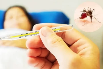 நாட்டில் டெங்கு நோயாளர்களின் எண்ணிக்கை அதிகரிப்பு