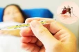 நாட்டில் டெங்கு நோயாளர்களின் எண்ணிக்கை அதிகரிப்பு
