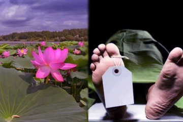 பூ பறிக்கச் சென்ற மாணவன்! சோகத்தில் ஆழ்த்திய துயர சம்பவம்