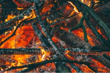 கனடாவில் காட்டுத்தீ சம்பவத்திற்கு காரணமான பெண் கைது