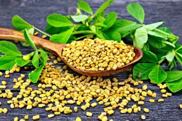 நீரிழிவு, உடல் எடையை குறைக்கும் வெந்தயம்... யாரெல்லாம் சாப்பிடக்கூடாது?