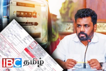 குறைக்கப்படாத மின் கட்டணம்: அநுர அரசாங்கத்திற்கு கடும் அழுத்தம்