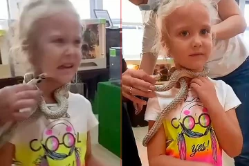 பாம்புடன் விளையாடிய குழந்தையை பதம்பார்த்த நச்சுப்பாம்பு: ஒரு திடுக் வீடியோ