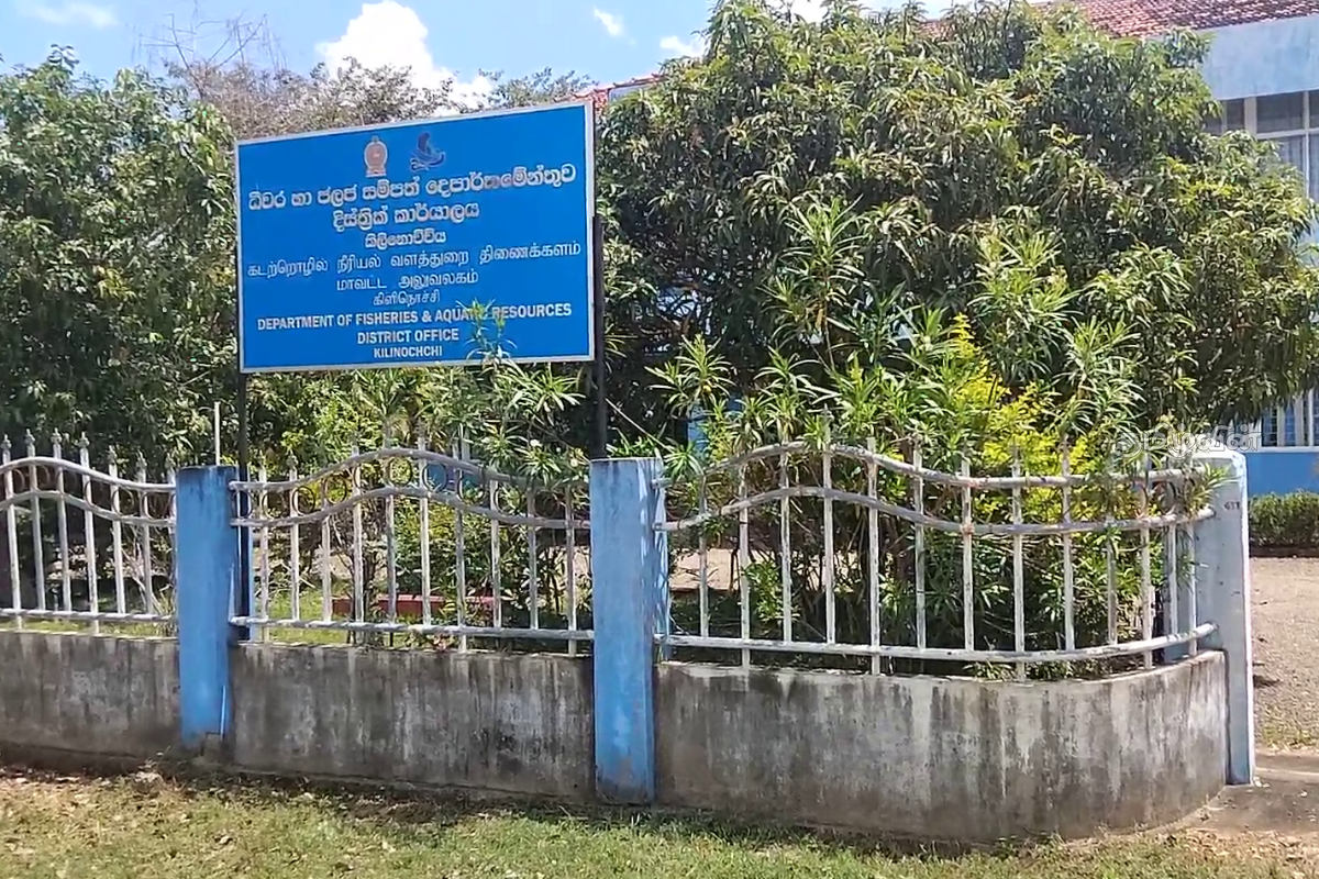 சட்டவிரோத கடற்றொழிலில் ஈடுபட்ட இந்திய கடற்றொழிலாளர்கள் நீதிமன்றம் பிறப்பித்துள்ள உத்தரவு | Court Orders Illegal Fishermen