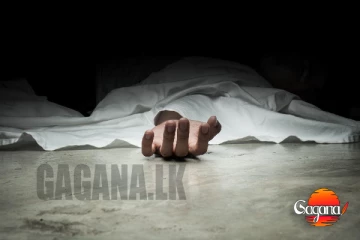 දුම්රියේ ගැටීමෙන් කාන්තාවක් ජීවිතක්ෂයට