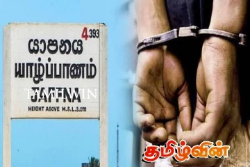 யாழில் பனை மரக்குற்றிகளை கடத்தியவர் கைது