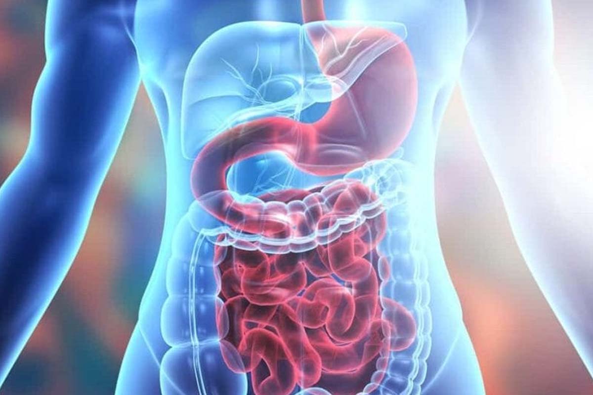 காலையில் ஊற வைத்த பாதாம் சாப்பிட்டால் இவ்வளவு நன்மையா? கட்டாயம் சாப்பிடுங்க | Eating Soaked Almonds In The Morning Benefits