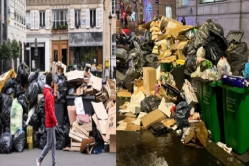 நாறும் காதல் நகரம் .. எங்கு பார்த்தாலும் எலிகள் : சிக்கலில் பாரிஸ்