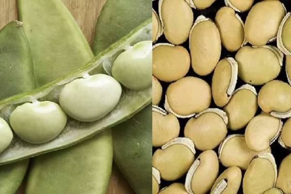 ரத்த சர்க்கரையை சட்டுன்னு குறைக்கும் மொச்சை கொட்டை கார குழம்பு! எப்படி செய்வது? | Amazing Health Benefits Of Mochai Kara Kuzhambu