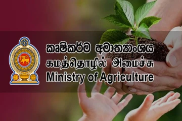 விவசாய நிறுவனங்கள் தொடர்பில் எடுக்கப்பட்டுள்ள முக்கிய தீர்மானம்
