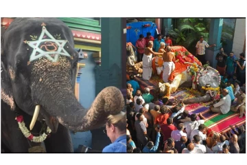 ஆயிரத்தில் ஒரு யானைக்குத்தான் இந்த சிறப்பம்சம் இருக்கும் - இறந்த லட்சுமி குறித்து வெளியான தகவல்...!