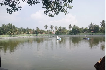 அழகாக காட்சியளிக்கு யாழ் ஆரியகுளம்