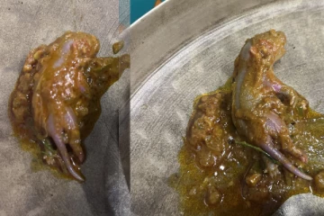 சிக்கன் கறியில் செத்த எலி; சாப்பிட்டவருக்கு நேர்ந்த கதி